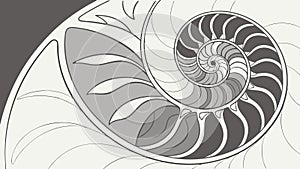 Abstract Nautilus Shell Spiral Geometric Pattern Design, vector design Generative AI
