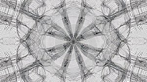 Intricate Black and White Line Art Mandala Pattern