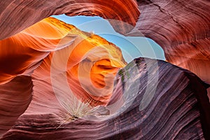 The intricate canyons of Antelope Canyon. photo