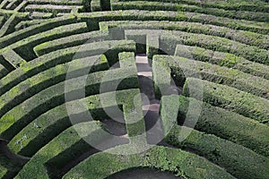intricate and complex maze of hedges