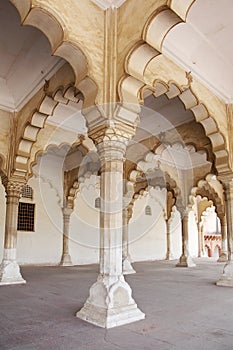 Intricate design on the column of Diwan-i-am of Agra Fort