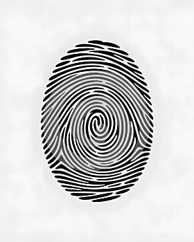 An Intricate Fingerprint Illustration with Black Ridges on a White Background