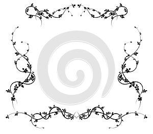 intricate frame on white background rose hips for