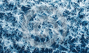 Intricate Frost Patterns on Glass Surface Captured in Blue Tones, Showcasing Nature's Winter Artistry photo