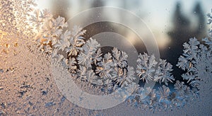 Intricate frost patterns are visible on