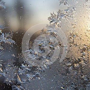 Intricate frost patterns on a window resemble fern-like structures. The delicate ice