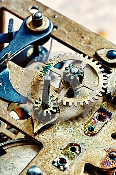 Intricate gears mesh within the watch\'s core