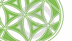 Intricate Geometric Mandala, Tranquil Leaf Pattern Design, vector design Generative AI