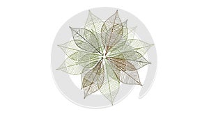 Intricate geometric pattern featuring multiple overlapping