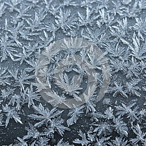 Intricate ice crystals cover a surface, forming a natural pattern. The crystals exhibit a