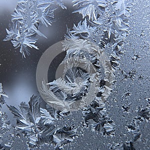 Intricate ice crystals form patterns on a glass surface, resembling delicate fern leave