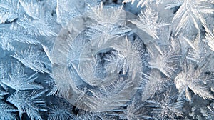 Intricate Ice Crystals Forming Delicate Patterns