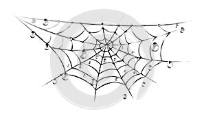 Intricate Spider Web Design, Natural Pattern, Halloween Decor, vector design Generative AI