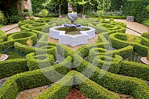 Intricate knot garden