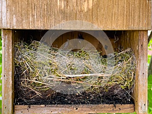 Intricate material used to make nest, When cleaning out blue tit nest box to find a dead nestling