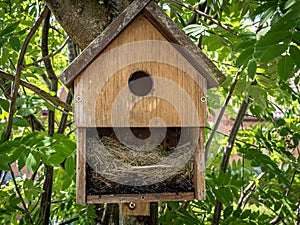 Intricate material used to make nest, When cleaning out blue tit nest box to find a dead nestling