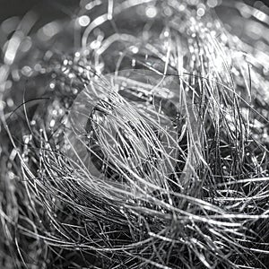 Intricate Metallic Web Abstract Background