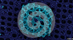 Intricate microscopic lattice structure in teal blue