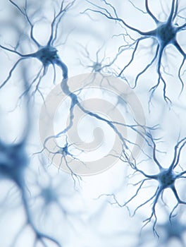 Intricate Network of Neurons in a Close-Up View Showcasing Their Complex Structures During Neural Activity