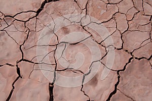 Cracks in the mud