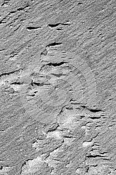 Intricate patterns form in the sand