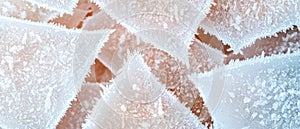 Intricate patterns of frost on a surface