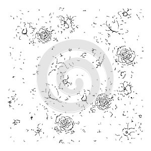 Intricate patterns of swirling lines and forms