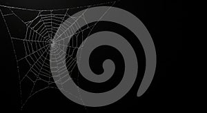Intricate spider web with dew drops on dark background