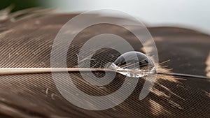 Intricate structure is highlighted by the lighting, emphasizing