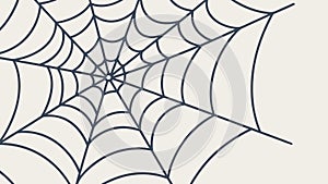 Intricate Spider Web Pattern, Symbolizing Nature's Delicate Design, vector design Generative AI