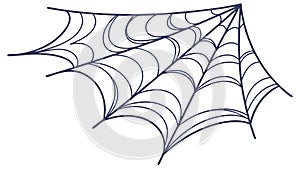 Detailed intricate spider web, nature's delicate design, vector design Generative AI