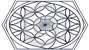 Intricate Radial Geometric Circular Pattern, vector design Generative AI