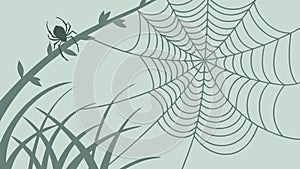 Intricate Spider Web with Spider, Nature's Delicate Trap, vector design Generative AI