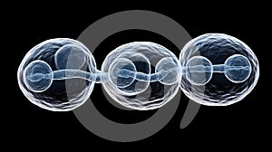 Intricate Visualization of Cellular Division Process in Biology