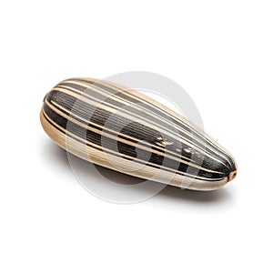 An intricately patterned seed pod resting against a plain white background