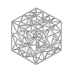 Is intricately symmetrical giving it a visual complexity while