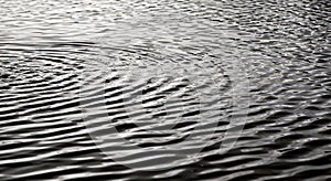 Abstract Monochrome Ripple Pattern on Water Surface Creating Dynamic Texture