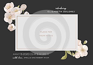 Introducing Baby Card Template with Realistic White Cherry or Sakura Flowers, Creative Elegant Background