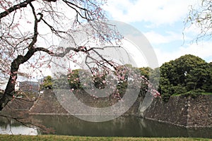 Inui moat of Edo castle in Tokyo