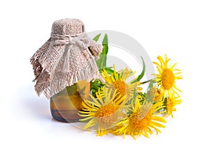 Inula with pharmaceutical botlle isolated on white background.