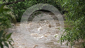 Inundation Natural Calamity Disaster River in Mountains Muddy Stream after Stormy Raining Creek in Torrential Rain Global Warming