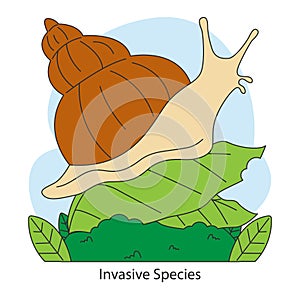 Invasive species threat. Snail as nonnative organism impacting natural