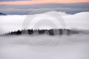 Inversion in autumn photo