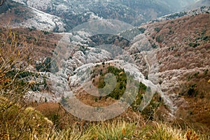 Pohľad z Jelenskej skaly do doliny v Nízkych Tatrách