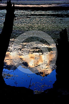 Inverted image at the moon lake