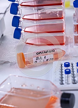 Investigation of new Sars-Cov-2 strain called  Omicron B.1.1.529 in laboratory