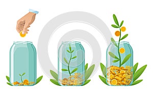 Investing bottle money, icon set. Money growing concept, finance savings tree, finances investment. Money growing plant