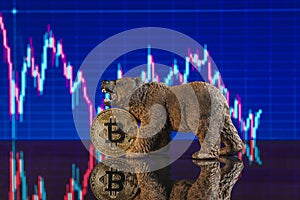 Investing in cryptocurrencies. The bearish trend for bitcoin