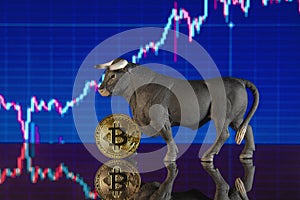 Investing in cryptocurrencies. A bullish trend for bitcoin