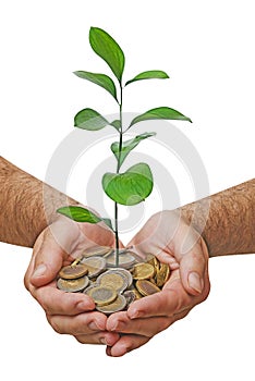 Investing money in environment